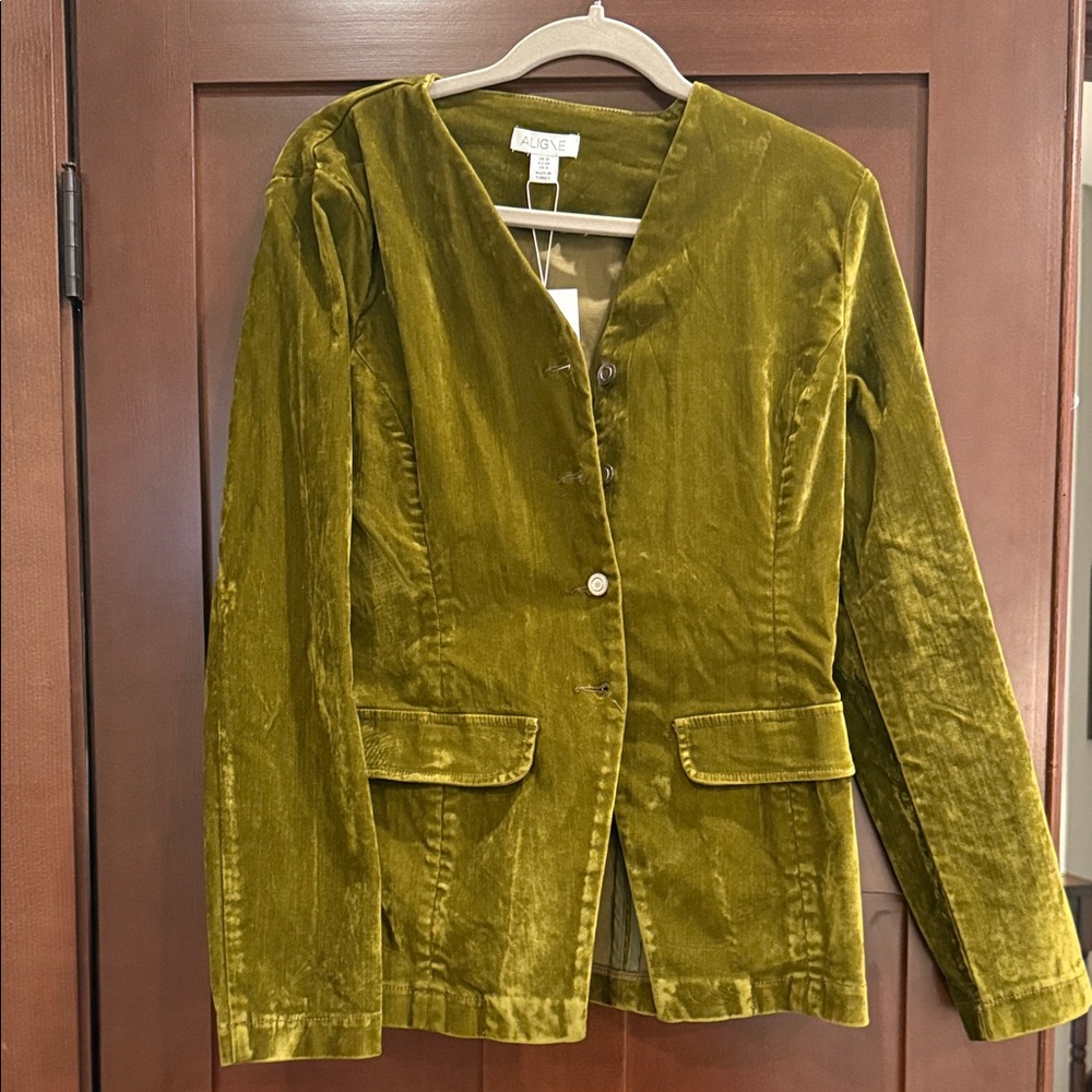 Aligne Velvet olive green Blazer
